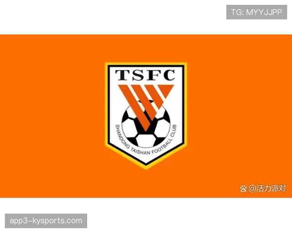 山东泰山零支出冬窗，仅调整一名外援配置